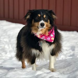 Meet your Posher, Matt